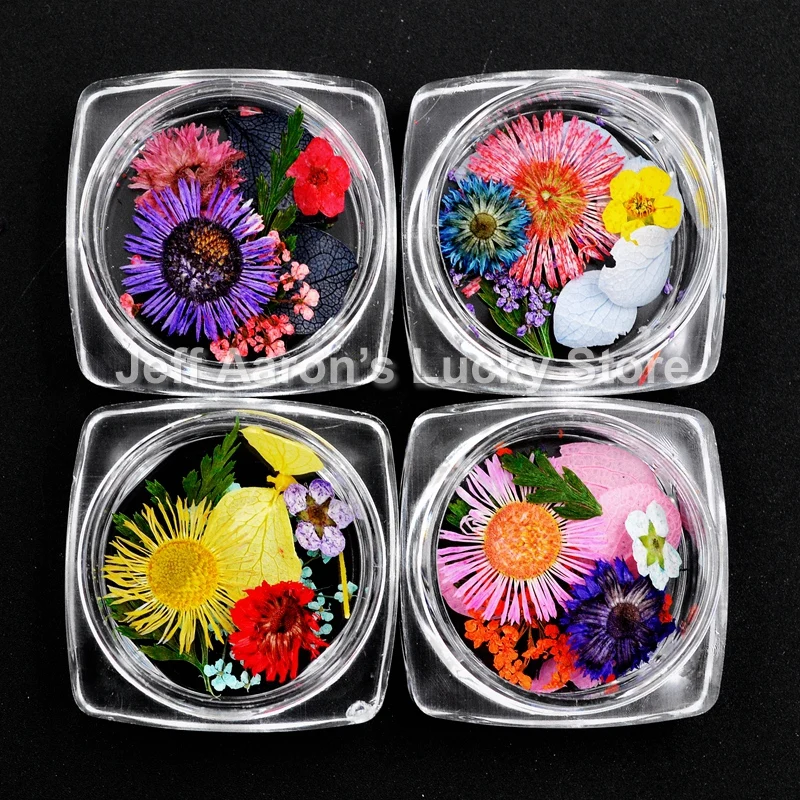4 pots fresh nails natural dried flowers for uv gel nail art uv gel tips decoration nail supplies tool
4 pots fresh nails natural dried flowers for uv gel nail art uv gel tips decoration nail supplies tool