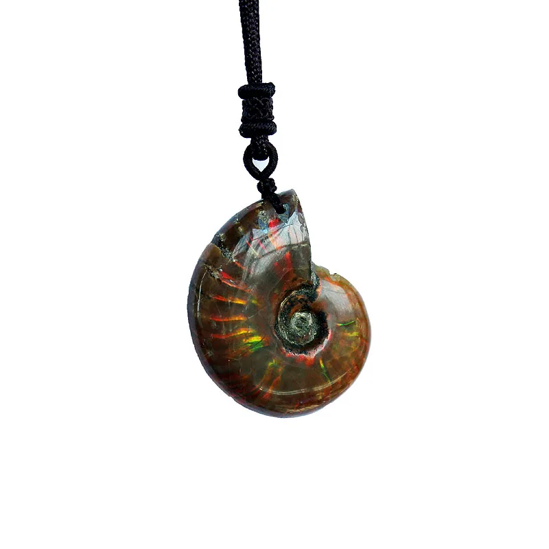 Natural color spots screw, the nautilus, chrysanthemum stone, snail, fossil seashells necklace pendant, charm h1598
Natural color spots screw, the nautilus, chrysanthemum stone, snail, fossil seashells necklace pendant, charm h1598