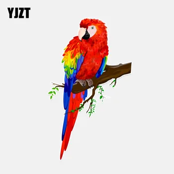 YJZT 9.9*16.7CM Beautiful Parrots Decor Colored PVC Car Sticker Personalized High Quality 11A0146
YJZT 9.9*16.7CM Beautiful Parrots Decor Colored PVC Car Sticker Personalized High Quality 11A0146