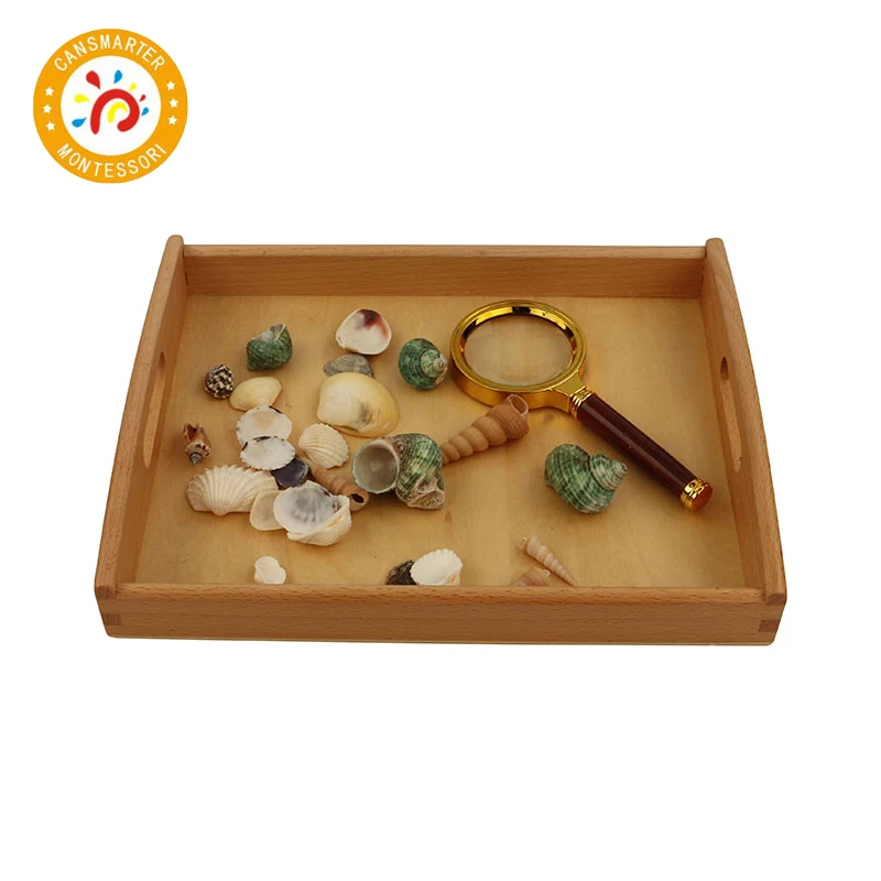 Montessori Material Explore Beech and Shells Daily Life Children Toy Teaching Aids Tray Magnifier
Montessori Material Explore Beech and Shells Daily Life Children Toy Teaching Aids Tray Magnifier