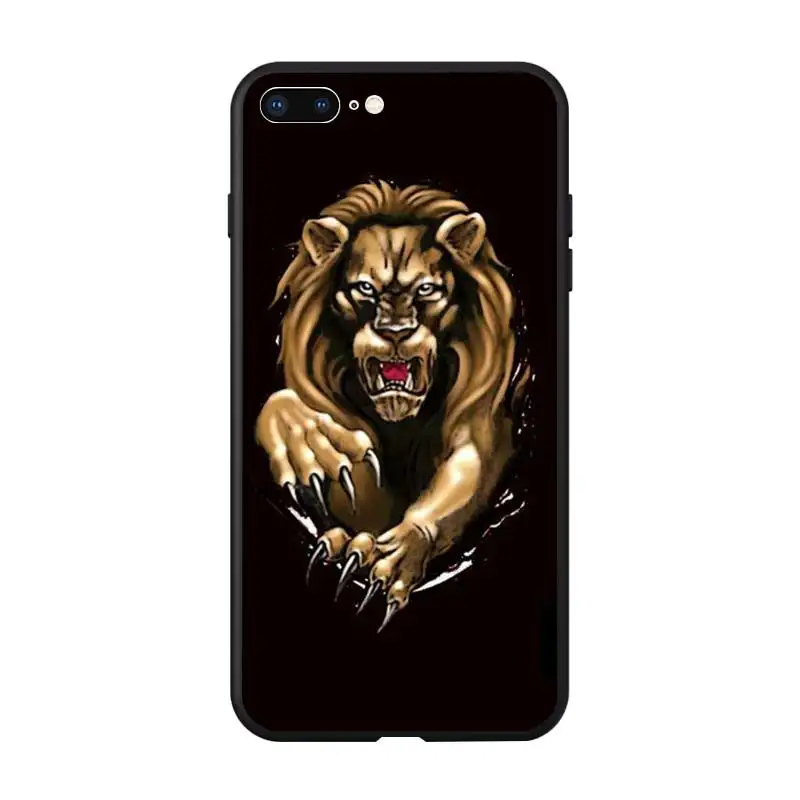 lions1