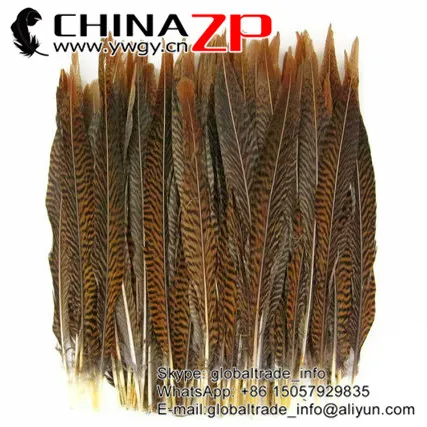 Перья CHINAZP Prime Quality 35 ~ 40 см (14 ~ 16 дюймов), натуральное золото, фазан, центральный хвост, перо для фотографий
Перья CHINAZP Prime Quality 35 ~ 40 см (14 ~ 16 дюймов), натуральное золото, фазан, центральный хвост, перо для фотографий