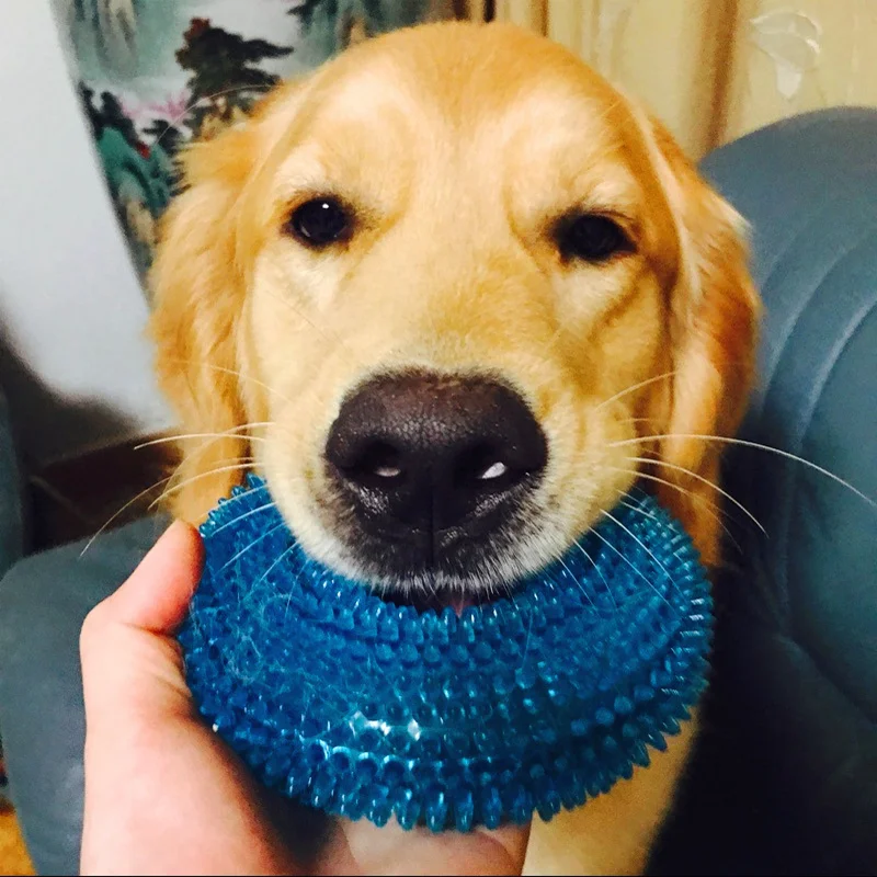 Rubber ball for Dogs Bite Resistant Toy Molar Cleaning Pet Toys Sound Ball with Whistle Durable Chewing Toys
Rubber ball for Dogs Bite Resistant Toy Molar Cleaning Pet Toys Sound Ball with Whistle Durable Chewing Toys
