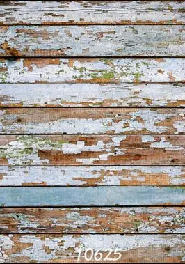 Vinyl Digital Printed Backdrops for Photography digital printed Wal and floor theme Photo Studio Background 10625
Vinyl Digital Printed Backdrops for Photography digital printed Wal and floor theme Photo Studio Background 10625