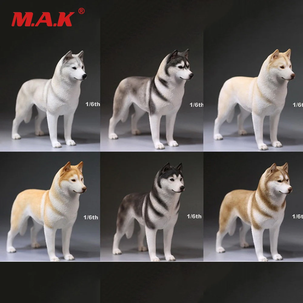 1/6 Working Dog Model German Shepherd With Collar Anime Statue for 12 inches Action Figure Accessories Collections
1/6 Working Dog Model German Shepherd With Collar Anime Statue for 12 inches Action Figure Accessories Collections