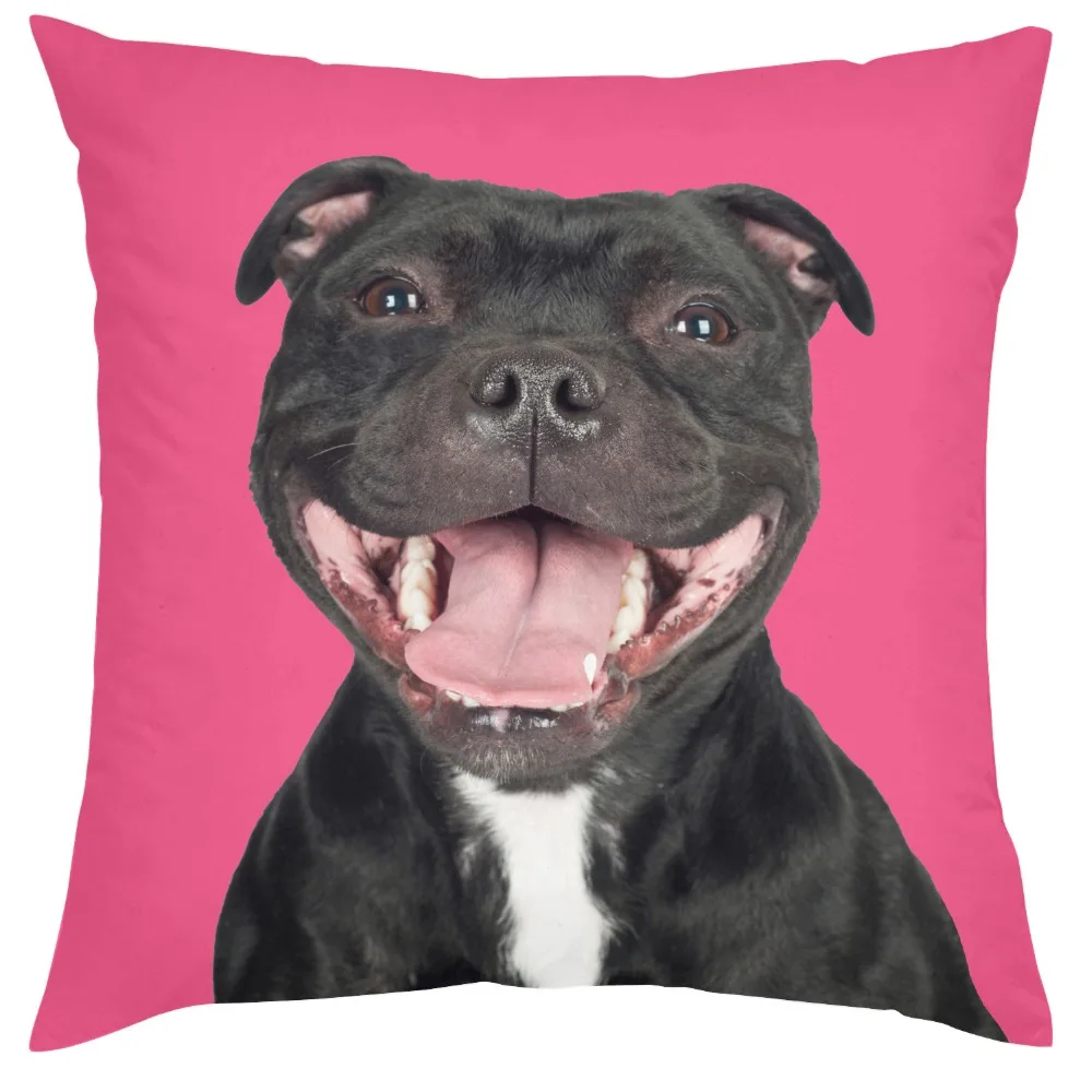 Funny Staffordshire Bull Terrier Dog Laughing Staff Weapons Throw Pillow Slip Staffie Pillowcase New Puppy Dogs Presents Design Funny Staffordshire Bull Terrier Dog Laughing Staff Weapons Throw Pillow Slip Staffie Pillowcase New Puppy Dogs Presents Design