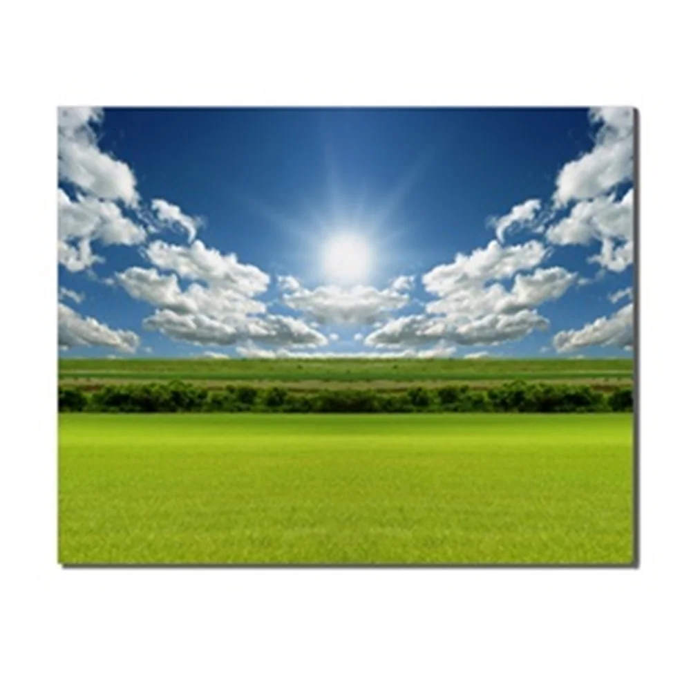 Spring Green Field Blue Sky Cloud Sunshine Countryside Landscape Kitchen Living Room Decorative Pictures Home Decor No Frame
Spring Green Field Blue Sky Cloud Sunshine Countryside Landscape Kitchen Living Room Decorative Pictures Home Decor No Frame