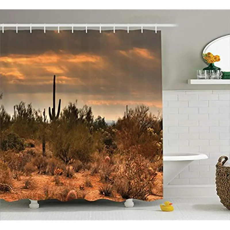 

Vixm Saguaro Cactus Dramatic Shady Desert View with a Storm Cloud Approaching Western Arizona Shower Curtains