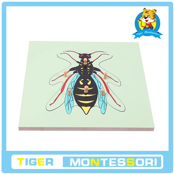 wholesale professional montessori material wooden educational toy botany puzzle Wasp Puzzle
wholesale professional montessori material wooden educational toy botany puzzle Wasp Puzzle