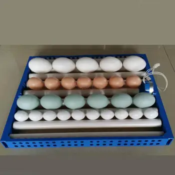 Professional plastic egg tray for incubator Automatic egg turning 64/48/32 plastic egg tray Hatcher accessories
Professional plastic egg tray for incubator Automatic egg turning 64/48/32 plastic egg tray Hatcher accessories