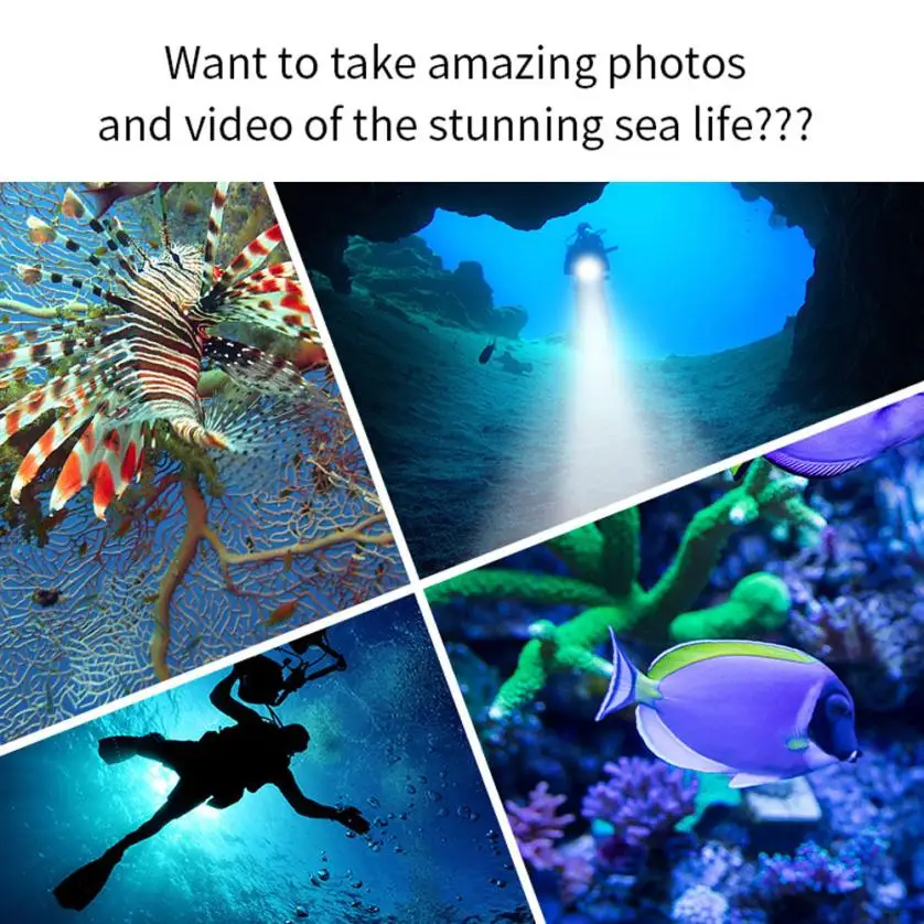 LLZ80421724_20180421040935630