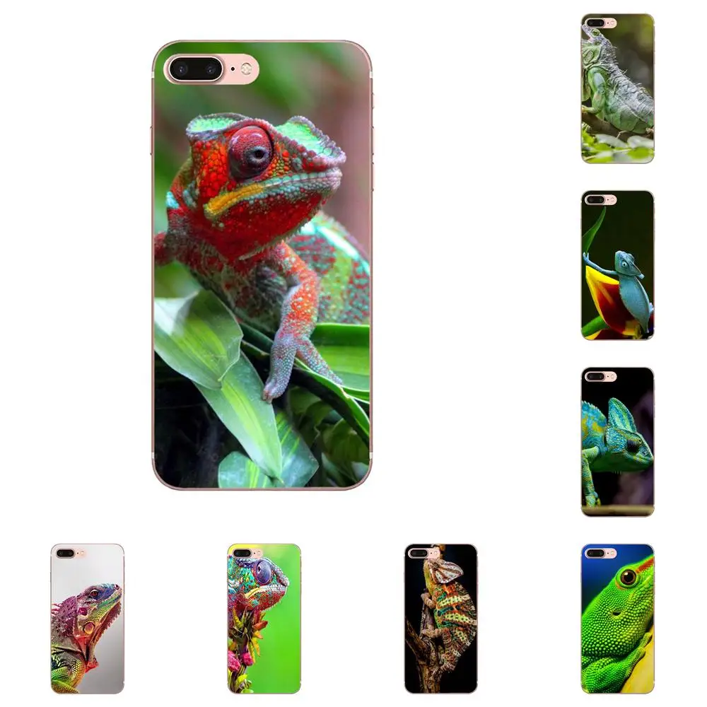 Kartun Pola Kasus Telepon Hewan Iguana Bunglon Kadal Untuk Xiaomi Kartun Pola Kasus Telepon Hewan Iguana Bunglon Kadal Untuk Xiaomi