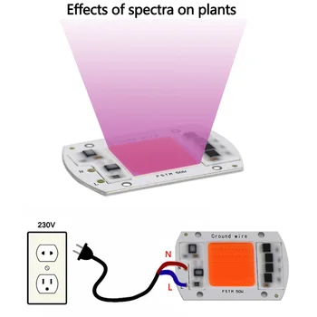 20W 30W 50W COB LED Grow Light Chip AC 220V Full Spectrum Phyto Lamp 280nm-840nm Plant Seedling Flowers Growth Lamp Beads
20W 30W 50W COB LED Grow Light Chip AC 220V Full Spectrum Phyto Lamp 280nm-840nm Plant Seedling Flowers Growth Lamp Beads