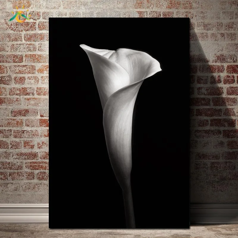 Calla Flower Poster Black and White Wall Art Canvas Painting Nordic Posters and Prints Decorative Picture Modern Home Decoration
Calla Flower Poster Black and White Wall Art Canvas Painting Nordic Posters and Prints Decorative Picture Modern Home Decoration