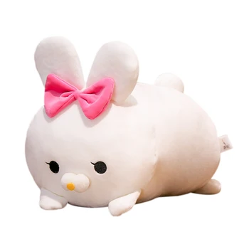Plush toy little white rabbit doll feather cotton sleeping pillow girl's birthday gift
Plush toy little white rabbit doll feather cotton sleeping pillow girl's birthday gift