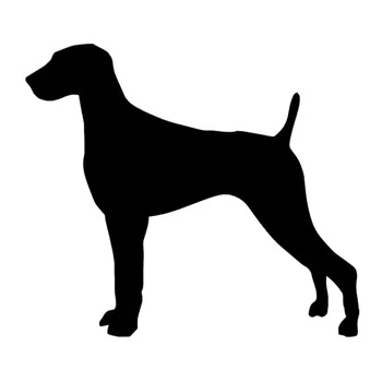 12.7*11.2CM Weimaraner Dog Vinyl Decal Waterproof Reflective Car Stickers Car Styling Decoration Black/Silver S1-0361
12.7*11.2CM Weimaraner Dog Vinyl Decal Waterproof Reflective Car Stickers Car Styling Decoration Black/Silver S1-0361