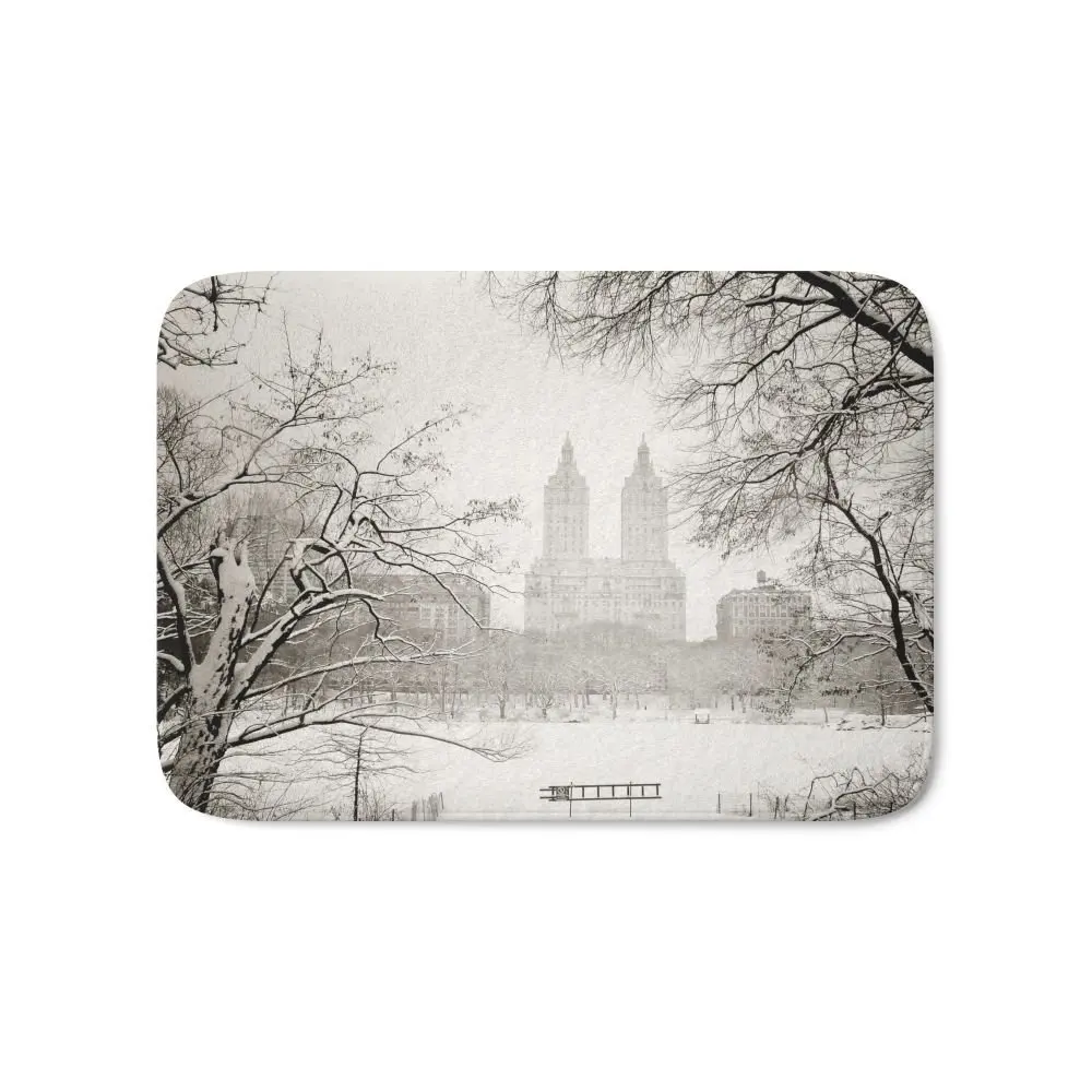 Winter - Central Park - New York City Bath Mat 17" x 24" Pattern Coral Fleece Rug Anti-Slip Doormat Home Decor
Winter - Central Park - New York City Bath Mat 17" x 24" Pattern Coral Fleece Rug Anti-Slip Doormat Home Decor