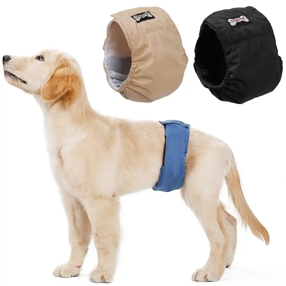 reusable male dog diapers