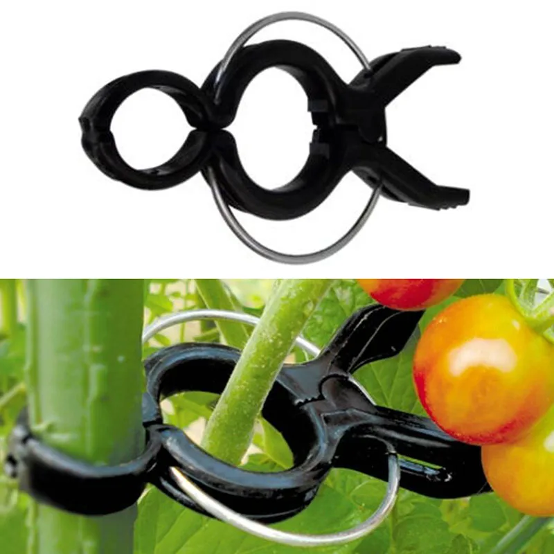 5 Pcs Agriculture Vines Clip Garden Plant Flower Vegetable Bush Clips Grape Tomato Vines Fixing Tools
5 Pcs Agriculture Vines Clip Garden Plant Flower Vegetable Bush Clips Grape Tomato Vines Fixing Tools