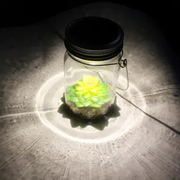 Artificial Succulents Solar Mason Jar Lights Bottle Nightlight Patio Outdoor Night Lamp DIY Two power supply methods
Artificial Succulents Solar Mason Jar Lights Bottle Nightlight Patio Outdoor Night Lamp DIY Two power supply methods