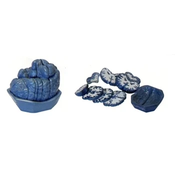 Brain anatomical model Fault Anatomical model teaching demonstration brain frontal shape section 17*14*17cm
Brain anatomical model Fault Anatomical model teaching demonstration brain frontal shape section 17*14*17cm