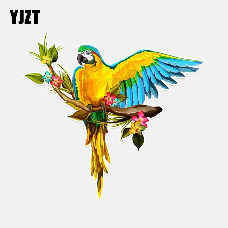 YJZT 14*13CM Interesting Parrot With Wings Flight PVC Colored Decor Car Sticker Personalized High Quality 11A0123
YJZT 14*13CM Interesting Parrot With Wings Flight PVC Colored Decor Car Sticker Personalized High Quality 11A0123