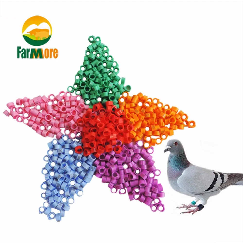 100Pcs Bird Foot Rings No.1-100 Racing Pigeon Foot Rings 9 Colors Optional Parrot Pigeon Leg Supplies Parrot Bird Training Tools
100Pcs Bird Foot Rings No.1-100 Racing Pigeon Foot Rings 9 Colors Optional Parrot Pigeon Leg Supplies Parrot Bird Training Tools