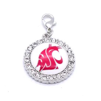 Dangle Charms University NCAA Washington State University Charm Pendant Fit Bracelets Necklaces Jewelry Sport Basketball 2017
Dangle Charms University NCAA Washington State University Charm Pendant Fit Bracelets Necklaces Jewelry Sport Basketball 2017