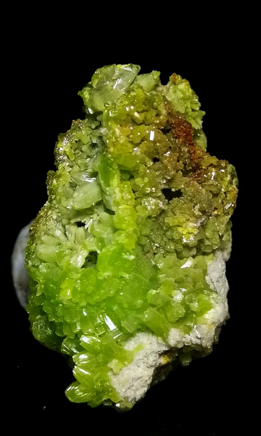 19g Natural Mineral Pyromorphite Pyromorphite natural mineral crystals teaching specimen collection
19g Natural Mineral Pyromorphite Pyromorphite natural mineral crystals teaching specimen collection