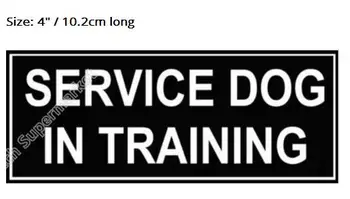 4" SERVICE DOG IN TRAINING Embroidered Patch Iron On Sew On Patches Vest Badge wholesale dropship
4" SERVICE DOG IN TRAINING Embroidered Patch Iron On Sew On Patches Vest Badge wholesale dropship