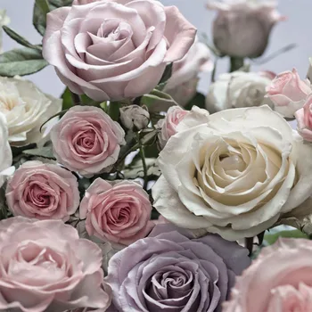 Wholesale 3d Papel de parede Rose Flower 3d Photo Muras Vinyl Wallpaper for Wedding Room and Living Room 3d Wall Murals Fresco
Wholesale 3d Papel de parede Rose Flower 3d Photo Muras Vinyl Wallpaper for Wedding Room and Living Room 3d Wall Murals Fresco