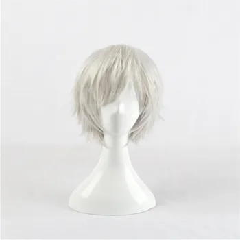 Hot Anime Tokyo Ghoul Kaneki Ken Wig Short Straight Silver Grey Synthetic Hair Cosplay Wigs Heat Resistance Fiber
Hot Anime Tokyo Ghoul Kaneki Ken Wig Short Straight Silver Grey Synthetic Hair Cosplay Wigs Heat Resistance Fiber