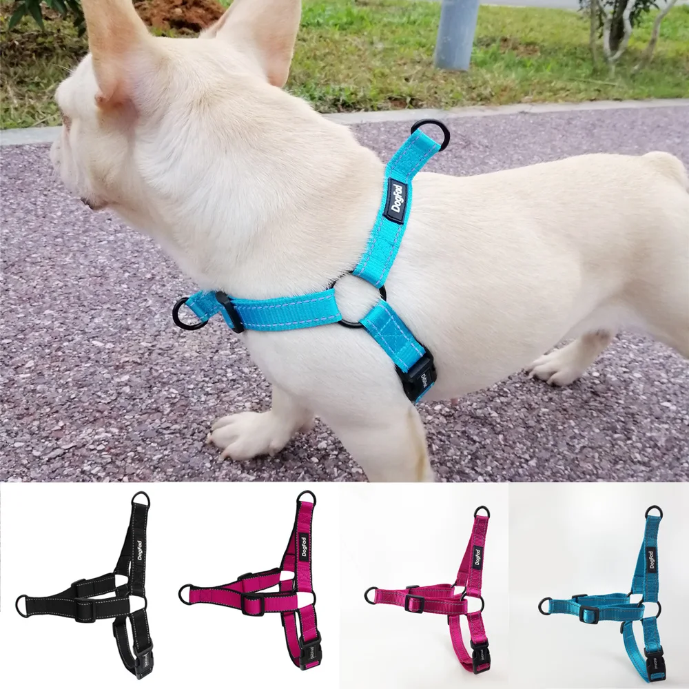 Easy Walking Dog Harness Nylon Adjustable Dog Harness for Small Medium Large Two Leash Attachments Running Training harness
Easy Walking Dog Harness Nylon Adjustable Dog Harness for Small Medium Large Two Leash Attachments Running Training harness