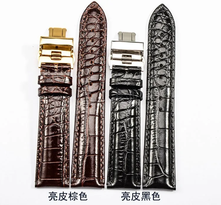 3587394903_1456910487