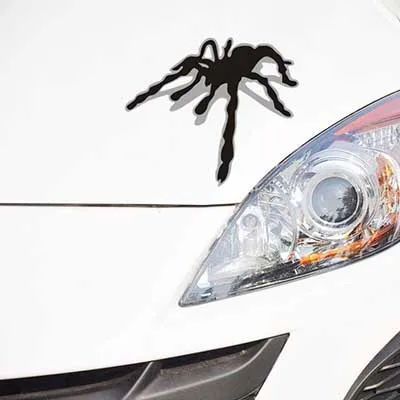 Spider sticker car sticker on car styling laptop sticker decal motorcycle skateboard doodle stickers for car accessories
Spider sticker car sticker on car styling laptop sticker decal motorcycle skateboard doodle stickers for car accessories