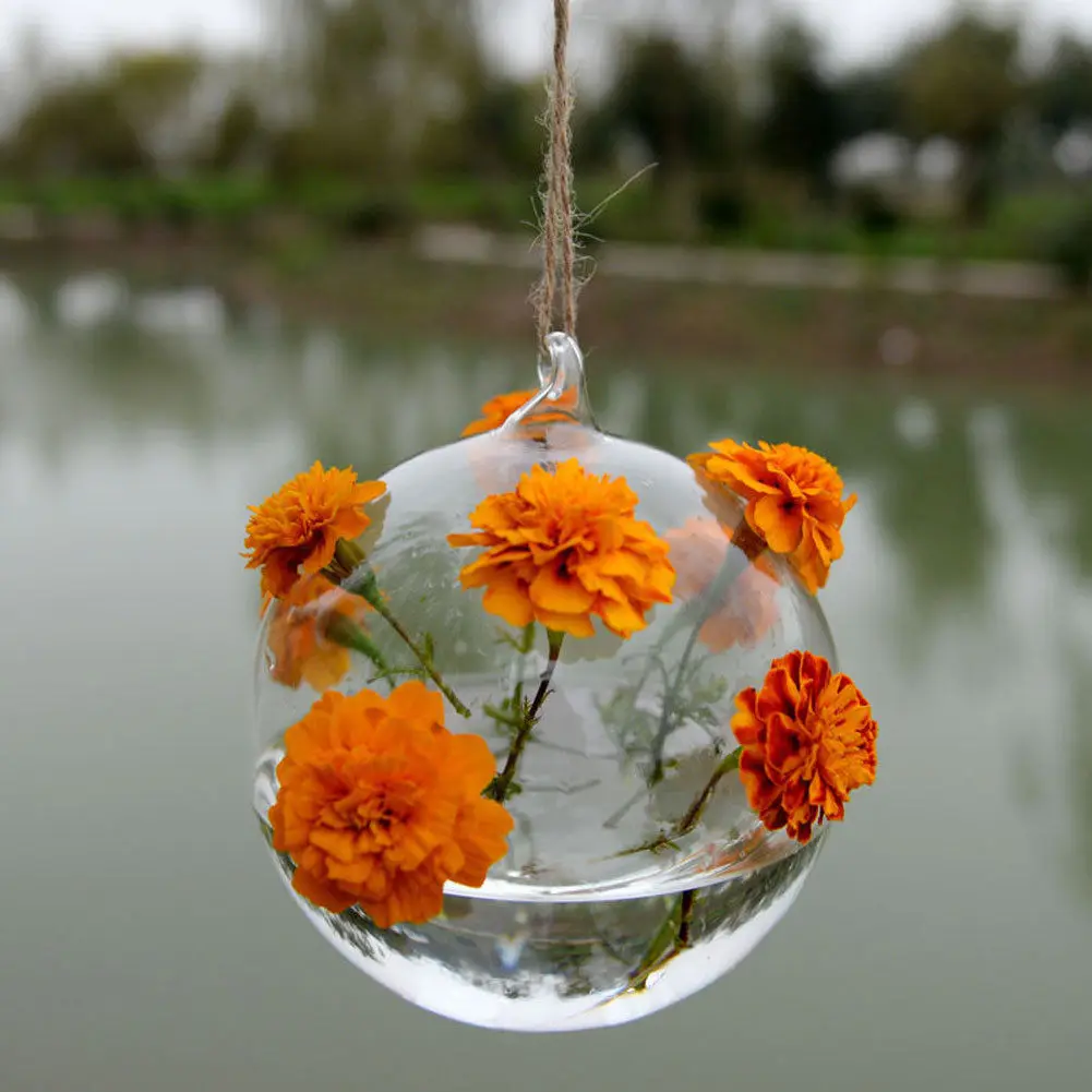2018 Fashion Hot Flower Plant Wall Hanging Clear Glass Vase Bottle Pot Home Garden Ball Decor
2018 Fashion Hot Flower Plant Wall Hanging Clear Glass Vase Bottle Pot Home Garden Ball Decor