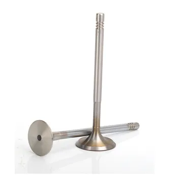 16pcs Intake valves Exhaust valves For Beetle Golf Touran Passat Jetta Polo Lupo A1 A2 A3 1.4L 1.6L
16pcs Intake valves Exhaust valves For Beetle Golf Touran Passat Jetta Polo Lupo A1 A2 A3 1.4L 1.6L