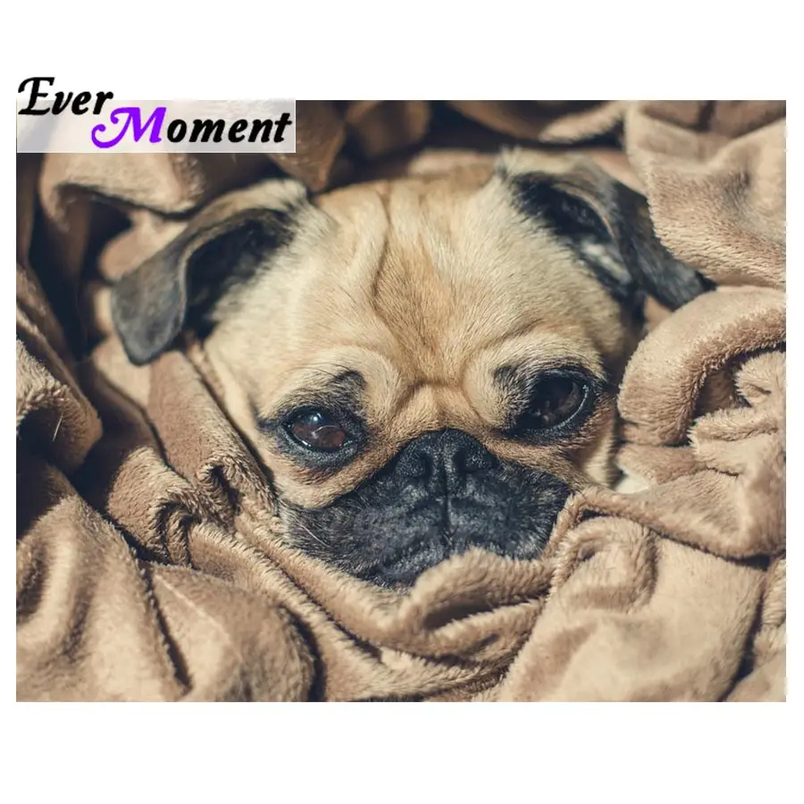 Ever Moment Diamond Painting Dog 5D DY Full Square Drill Picture Of Rhinestone Decoration For Home Diamond Embroidery S2F1990
Ever Moment Diamond Painting Dog 5D DY Full Square Drill Picture Of Rhinestone Decoration For Home Diamond Embroidery S2F1990