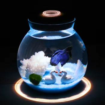 1pcs Mini Betta Fish Tank with Small Lights Desk Ornament Aquarium Plants Decoration Background Pet Accessories Supplies
1pcs Mini Betta Fish Tank with Small Lights Desk Ornament Aquarium Plants Decoration Background Pet Accessories Supplies