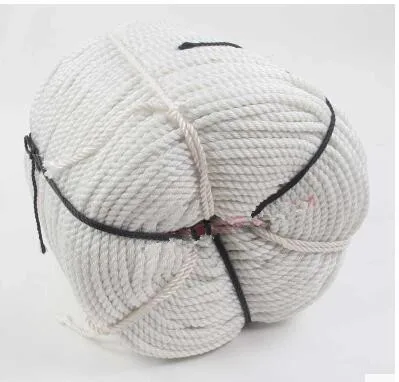 New material of high strength flat wire bundling rope white tent rope bundled advertising Plastic rope
New material of high strength flat wire bundling rope white tent rope bundled advertising Plastic rope