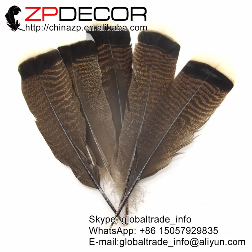ZPDECOR 8.6-12inches / 22-30cm 100pieces/lot Factory Directly Wholesale Wild Turkey Tail Flat Feathers for DIY Decoration
ZPDECOR 8.6-12inches / 22-30cm 100pieces/lot Factory Directly Wholesale Wild Turkey Tail Flat Feathers for DIY Decoration