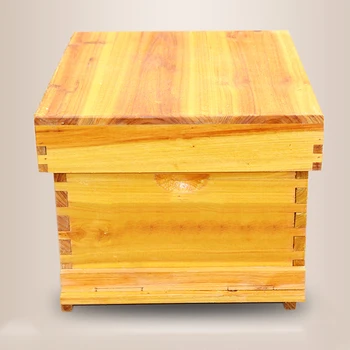Cooking Wax Bees In Bee Hives Package Full Set Of Standard Ten Box Bee Beekeeping Tools Mifeng Pine Flat Box Special
Cooking Wax Bees In Bee Hives Package Full Set Of Standard Ten Box Bee Beekeeping Tools Mifeng Pine Flat Box Special