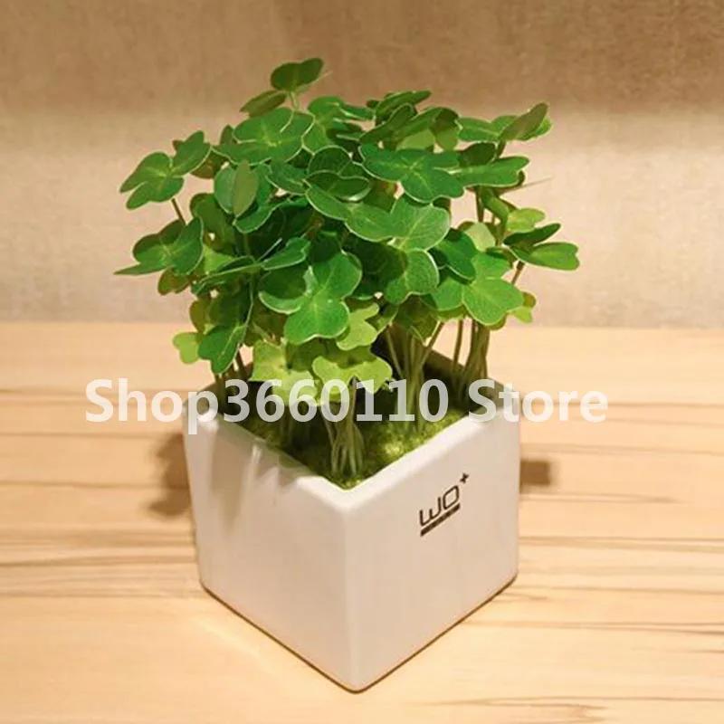 New Arrival 100 Pcs / Bag Bonsai Four Leaf Clover Trifolium Repens Mixed Dutch Clover Bonsai Diy Home & Garden Potted Planting
New Arrival 100 Pcs / Bag Bonsai Four Leaf Clover Trifolium Repens Mixed Dutch Clover Bonsai Diy Home & Garden Potted Planting