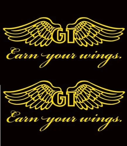 For 2Pcs GT Bike Logo Wings (2) Stickers Decals Fury Force Ruckus MTB DH Downhill Fox Car Styling
For 2Pcs GT Bike Logo Wings (2) Stickers Decals Fury Force Ruckus MTB DH Downhill Fox Car Styling