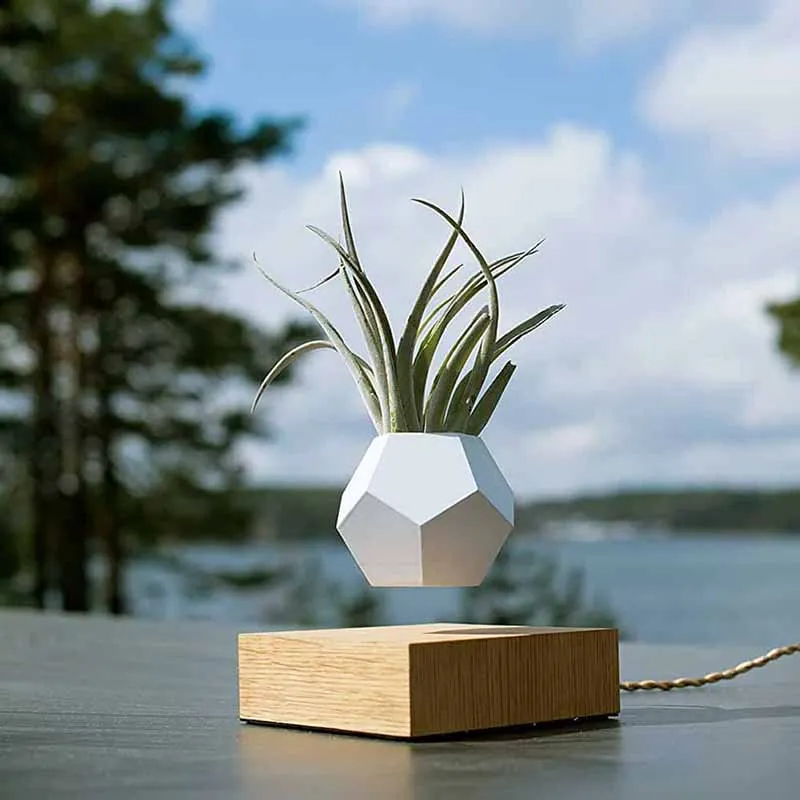 Flower pot Magnetic Levitating Plant pot Air Bonsai Levitating Bonsai Floating Plant Floating Bonsai Levitating Planter loronz
Flower pot Magnetic Levitating Plant pot Air Bonsai Levitating Bonsai Floating Plant Floating Bonsai Levitating Planter loronz
