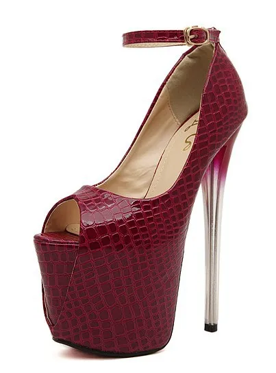 4545813264_511216355