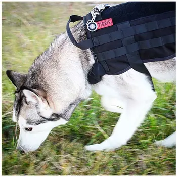OneTigris Army Tactical Dog Training Molle Vest Harness Military Load Bearing Harness SWAT Dog Jacket
OneTigris Army Tactical Dog Training Molle Vest Harness Military Load Bearing Harness SWAT Dog Jacket