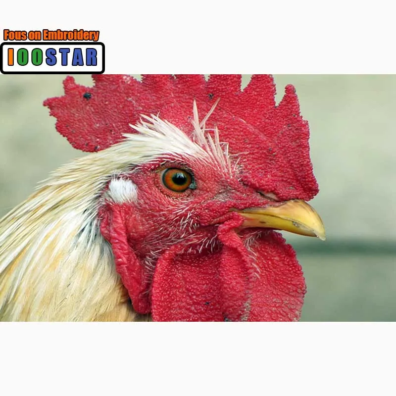 DIY 3D Diamond painting animal Full Round Diamond mosaic chicken heads Full Square Diamond embroidery Cross stitch bird
DIY 3D Diamond painting animal Full Round Diamond mosaic chicken heads Full Square Diamond embroidery Cross stitch bird