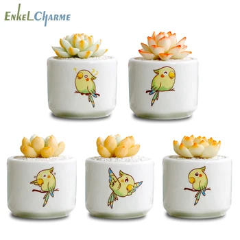 Mini Cactus Succulent Ceramic Circular Cute Parrot White Flowerpot Garden Desktop Cartoon Lovely Decorative Kawaii Planters
Mini Cactus Succulent Ceramic Circular Cute Parrot White Flowerpot Garden Desktop Cartoon Lovely Decorative Kawaii Planters