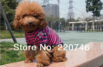 Fashion pet clothes UK flag stripes style clothing, 4 colors handsome dog coat for Spring Summer Autumn
Fashion pet clothes UK flag stripes style clothing, 4 colors handsome dog coat for Spring Summer Autumn
